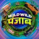 Wild Wild Punjab (2024) – Bollywood Movie