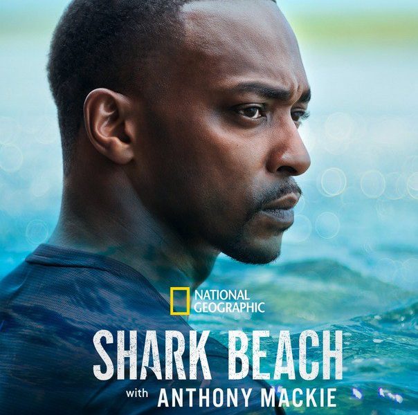 Shark Beach with Anthony Mackie (2024)