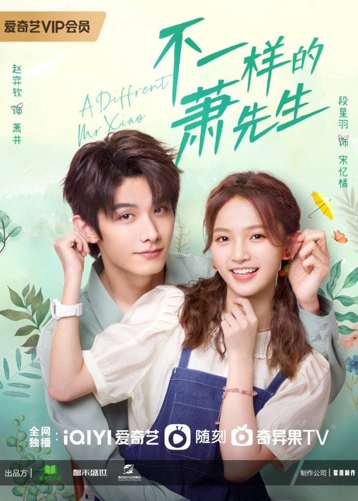 A Different Mr. Xiao Season 1 (Complete) (Chinese Drama)