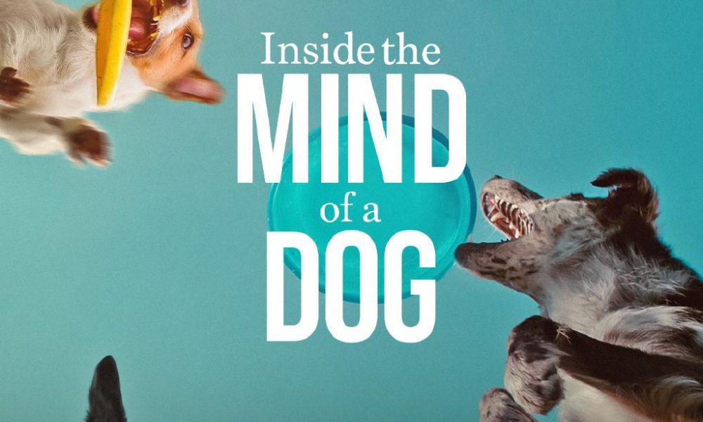 Inside The Mind Of A Dog (2024)