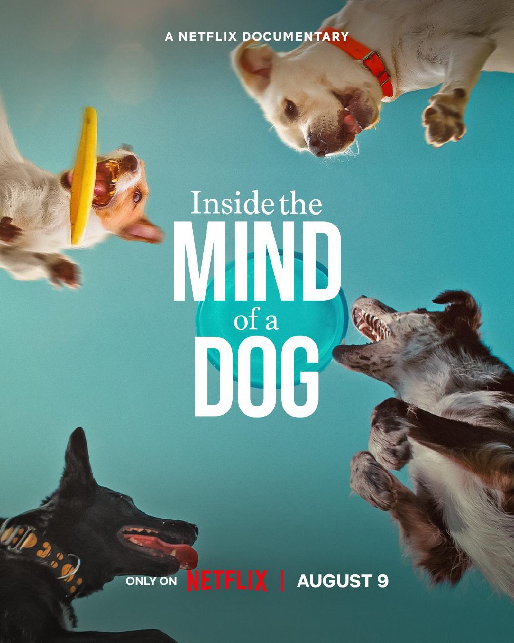 Inside The Mind Of A Dog (2024)