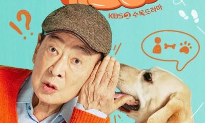 Dog Knows Everything Season 1 (Episode 1-2 Added) Korean Drama