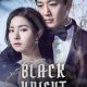 Black Knight Season 1 (Complete) Korean Drama