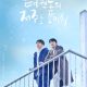 Let Free the Curse of Taekwondo Season 1 (Episode 3-6 Added) (Korean Drama)