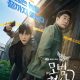 The Good Detective Season 2 (Complete) (Korean Drama)