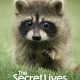 The Secret Lives of Animals Season 1 (Complete)