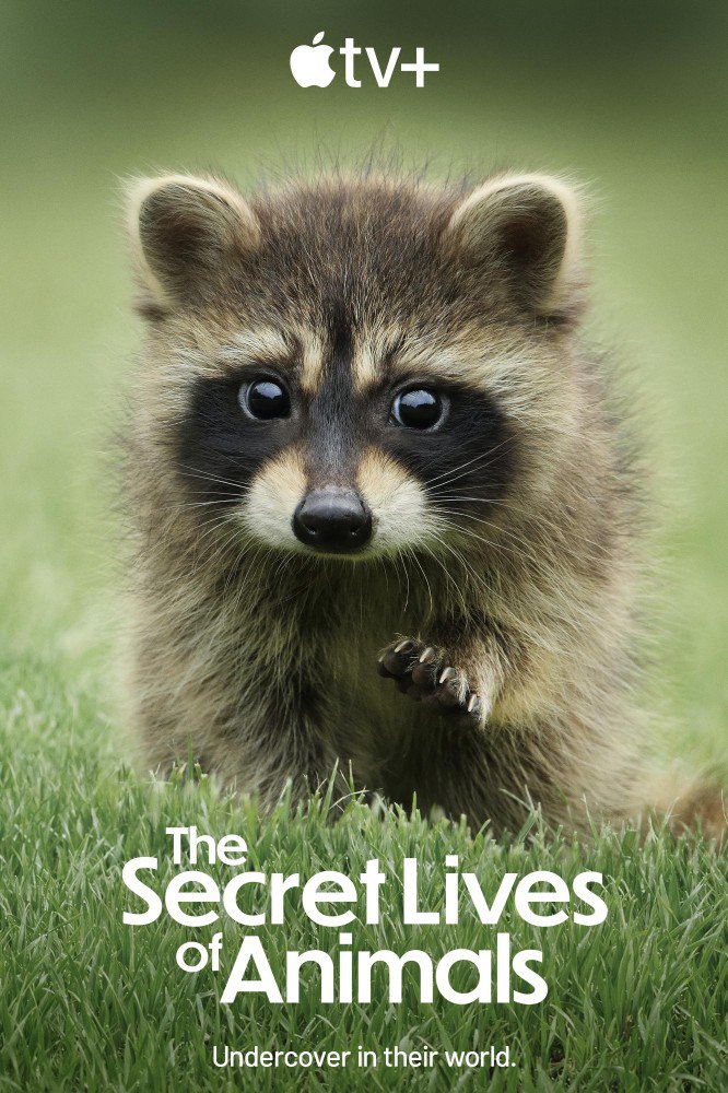 The Secret Lives of Animals Season 1 (Complete)