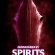 Surrounded by Spirits (2024)