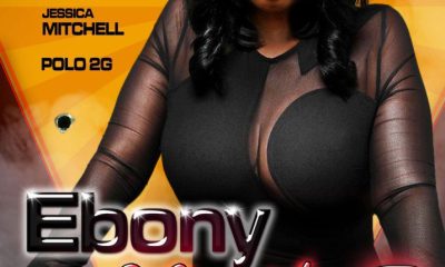 Ebony Hustle 2: Ballistic Protection (2024)