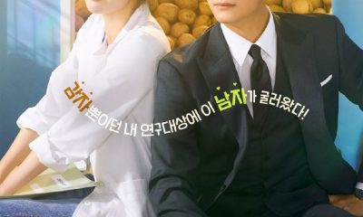 The Potato Lab Season 1 (Episode 6 Added) (Korean Drama